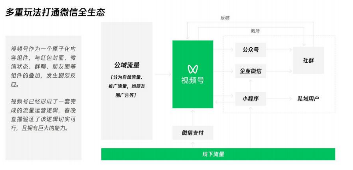 11天视频号变现训练营，视频号+直播+社群，带你玩转私域-视频号论坛-推荐版块-梧桐有术