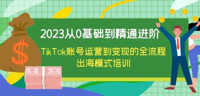 从0基础到精通进阶，TikTok账号运营到变现的全流程出海模式培训-梧桐有术