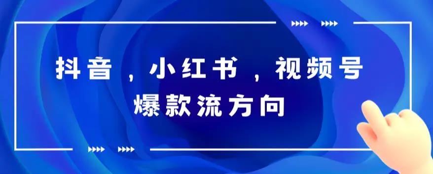 抖音，小红书，视频号爆款流视频制作，简单制作掌握流量密码-梧桐有术