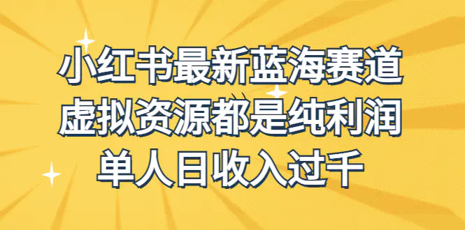 收费1980的小红书蓝海赛道，虚拟资源都是纯利润，单人日收入过千-梧桐有术