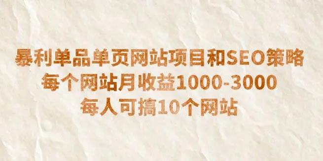 暴利单品单页网站项目和SEO策略 每个网站月收益1000-3000-梧桐有术