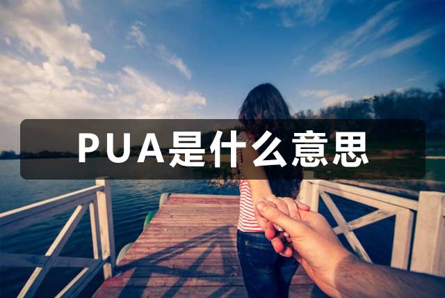 搭建PUA资源网站自动搞钱的玩法，偷偷赚钱，一年10-20万之间-梧桐有术