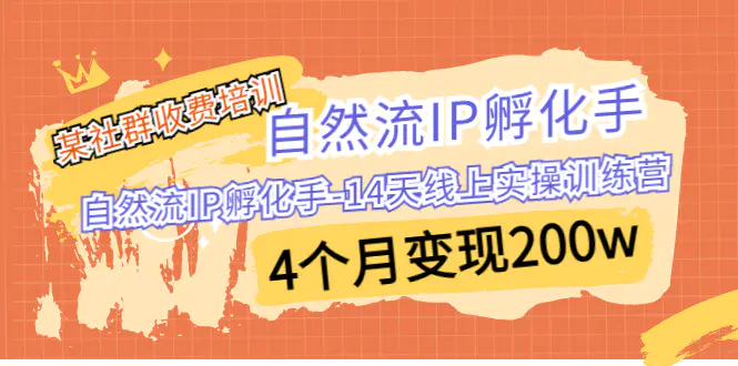 自然流IP 孵化手-14天线上实操训练营 4个月变现200w-梧桐有术