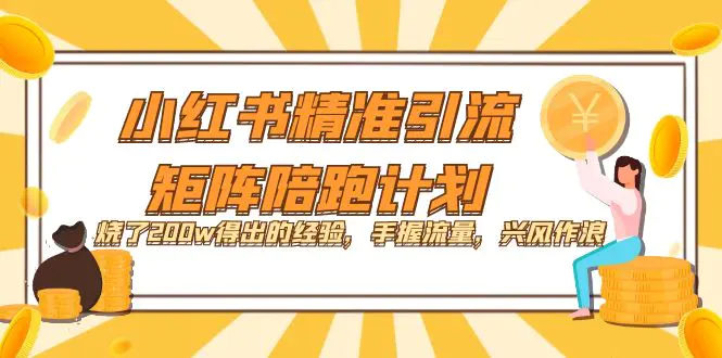 小红书精准引流·矩阵陪跑计划：烧了200w得出的经验，手握流量！-梧桐有术