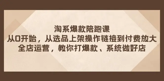 淘系爆款陪跑课 从选品上架操作链接到付费放大 系统做好店-梧桐有术