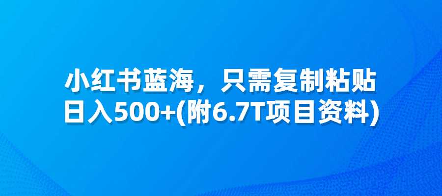 小红书蓝海赛道，私域引流交易，只需要会复制粘贴，日入500+-梧桐有术