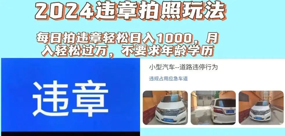 2024违章拍照新玩法，推广躺赚+拍照赚钱双模式，日入1000+-梧桐有术