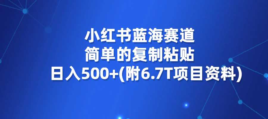 小红书蓝海赛道，简单的复制粘贴，实现私域流量转化，日入500+-梧桐有术